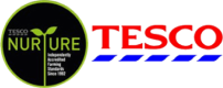 2_600x250
